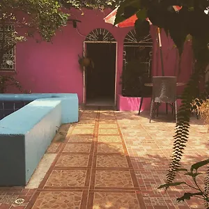  Pensión Funky Monkey